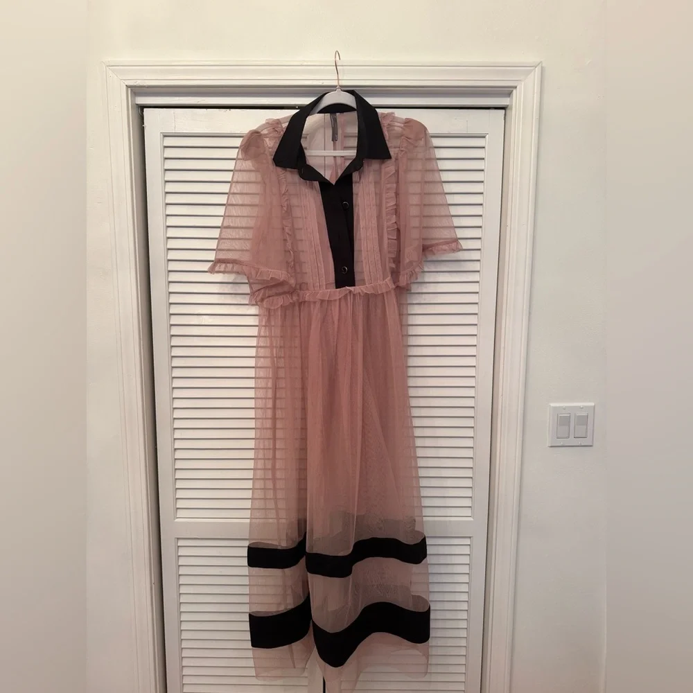 By Anthropologie Sheer Maxi Dress Color: Pink Size: M - Picture 2 of 6